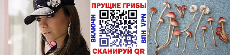 Галлюциногенные грибы MAGIC MUSHROOMS  Константиновск 